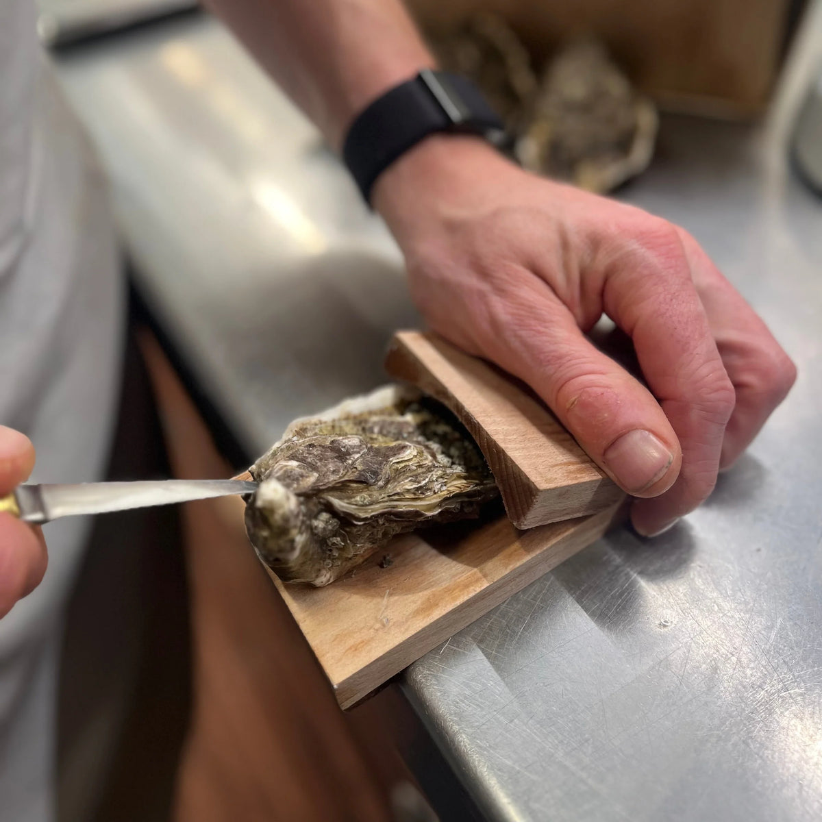 ShellLock™ Oyster Shucking Clamp