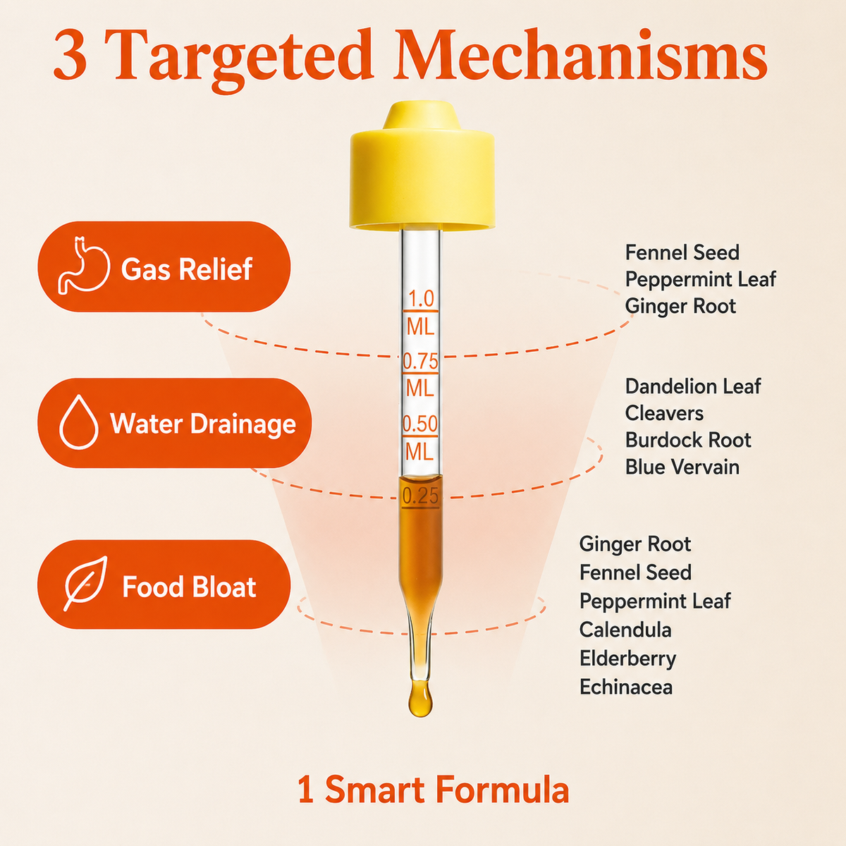 TrimVanta™ Daily Wellness Drops