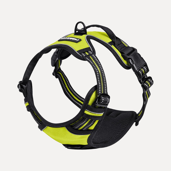 Classic Fit No Pull Dog Harness
