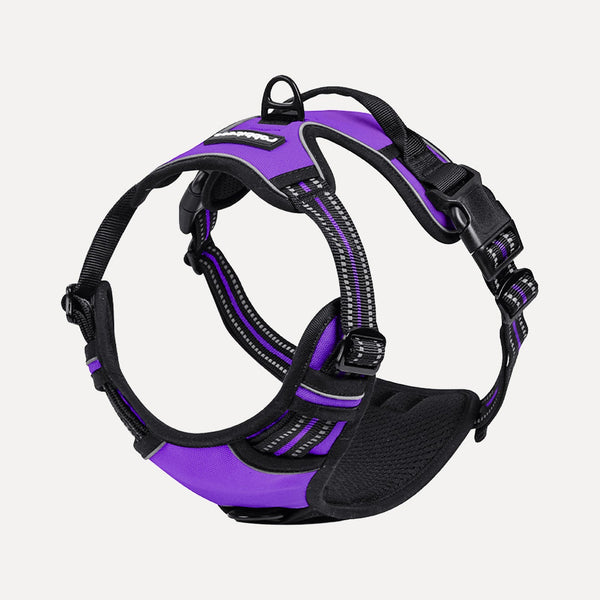 Classic Fit No Pull Dog Harness