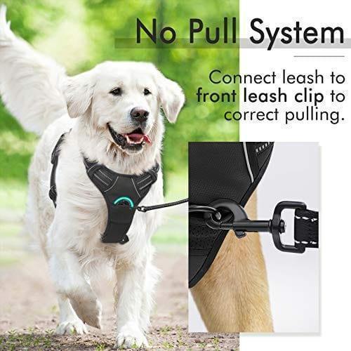 Classic Fit No Pull Dog Harness