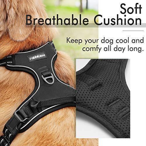 Classic Fit No Pull Dog Harness