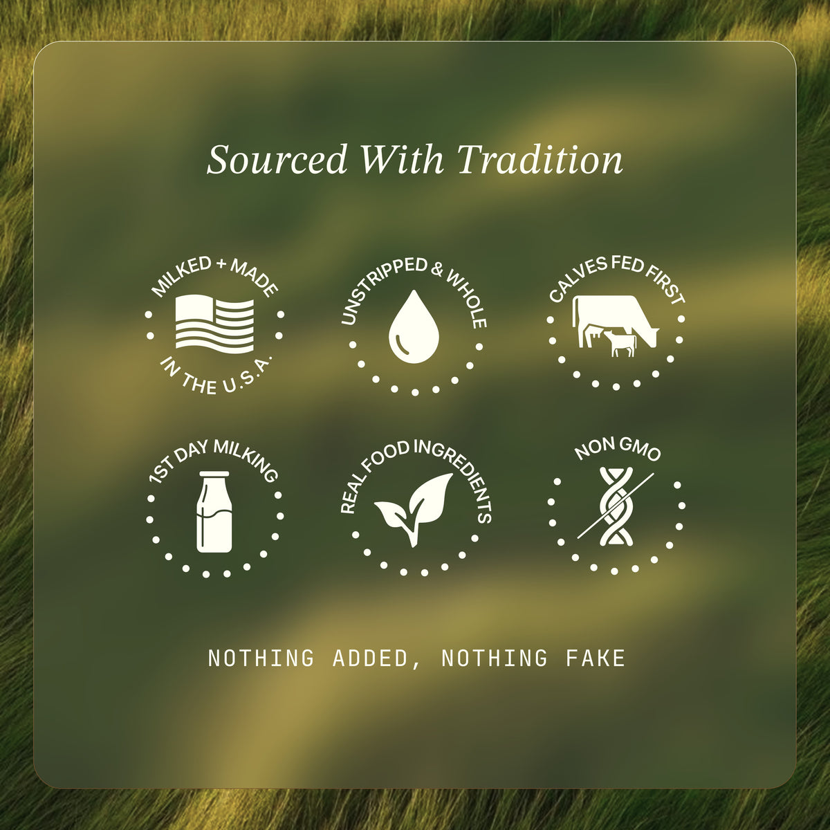 Vanilla Starter Kit